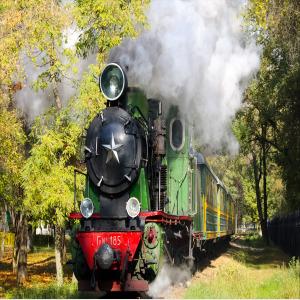 China International Ddu Ddp Railway Freight Forwarder From China To Poland factory