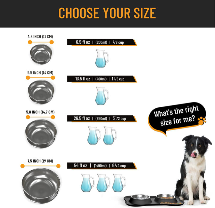 Food Water Dog Food Bowls With Skid Resistant Silicone Mat