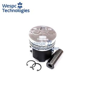 WESPC 115017491B Piston Kit for Perkins 404C-22 404D-22 404D-22T Diesel Engines