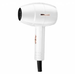 China Dual Voltage Lightweight Blow Dryer , DC Hair Dryer With Concentrator Diffuser factory