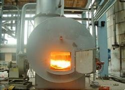 Electricity-Powered Animal Body Incinerator with 1 Year Warranty and Up To 1200