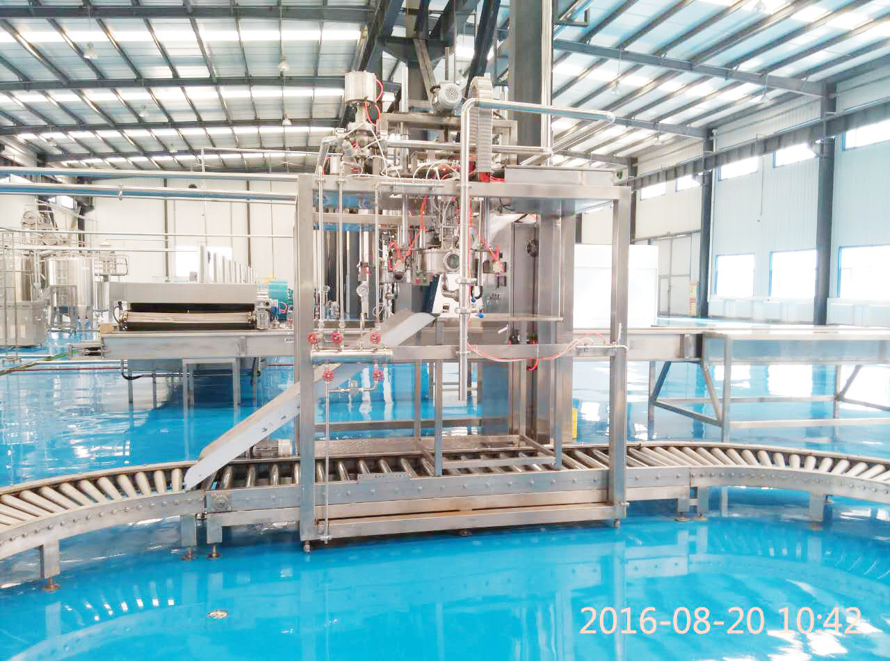 China PLC Control Ginger 2t/H Double Head Aseptic Bag Filler factory