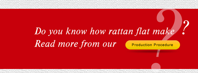 rattan core/ rattan flat / rattan perfume diffuser sticks