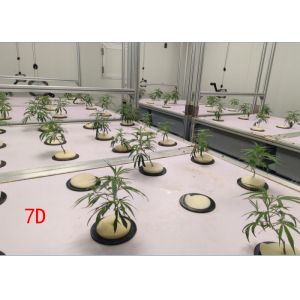 Greenhouse Aeroponics Hydroponics System 3 Meter