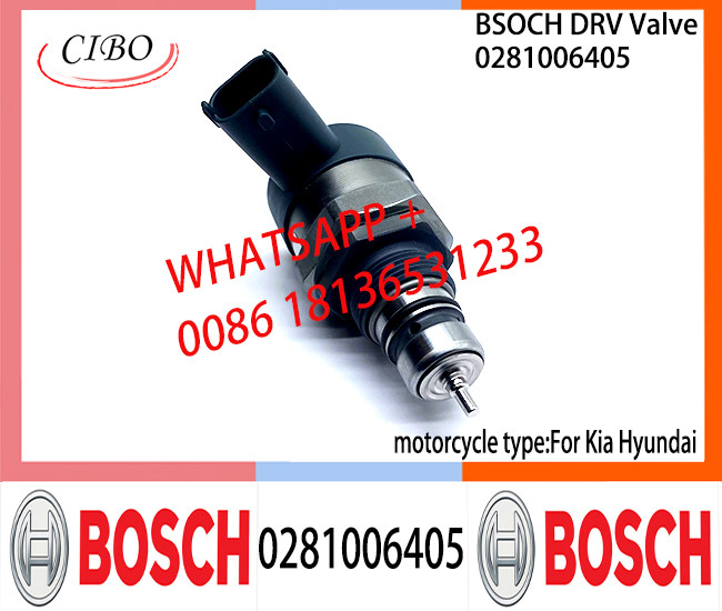 BOSCH DRV Valve 0281006405 Control Valve 0281006405 For Kia Hyundai