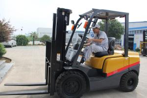 China Chinese A490 Engine Diesel Powered Forklift 2 Ton Counterbalance Lift Truck factory
