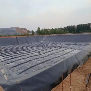 Customized HDPE LDPE LLDPE PVC Geomembranes Pond Liner For Fish And Shrimp Pond