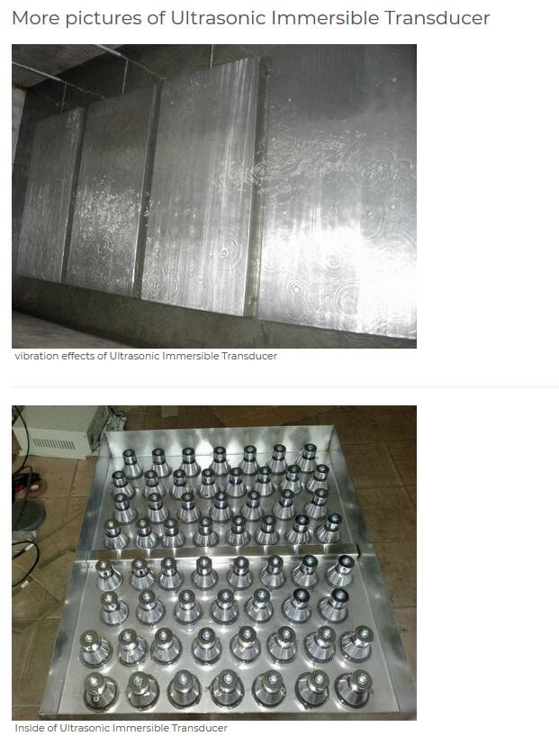 Ultrasonic Transducer In The Tub Sumbersible Rod Transducer