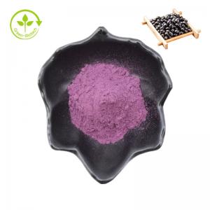 China Black Bean Peel Extract Anthocyanin Black Soya Bean Peel Extract Powder on sale