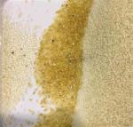 Sortdek AI Rice Color Sorter 2 Chutes 128 Channels Intelligent