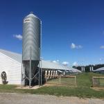 Steel Frame Chicken House Prefabricated Poultry Building Q235 Q345B