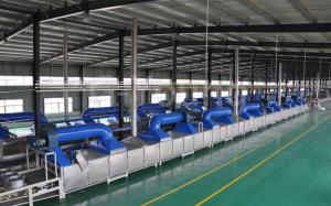 China Factory Supply Fried Instant Noodle Making Machine Production Line factory
