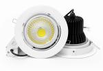 40W COB LED Downlight