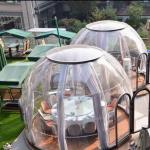 Hotel Bubble Dome Room Traditional Design for 2024 Product Transparent Prefab