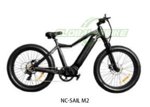 China 48V 10.4Ah LG Battery 50km/H High Speed 26*4 Fat Tire Electric Bike factory