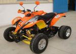 Water Cooled 250cc Youth Racing Atv With Single Cylinder 4 - Stroke Swing Arms