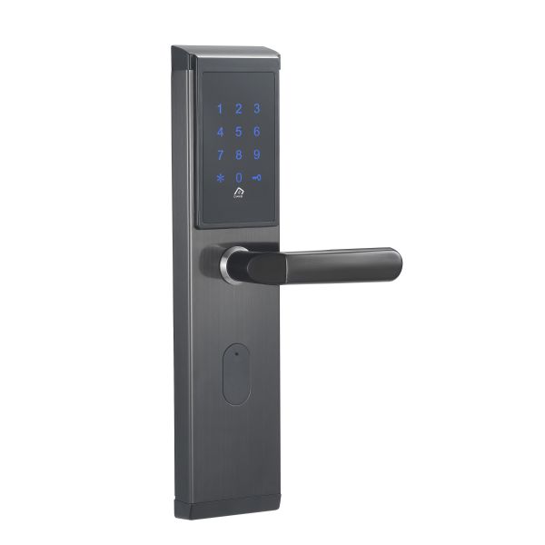 China WiFi Enabled Electronic Smart Lock Get This Function Via Gateway