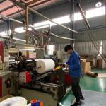 ODM Flexographic PE Coated Paper Roll Anti Curl