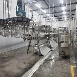China Stainless Steel Slaughter Processing Line 500bph 10000bph Chicken Abattoir Equipment factory