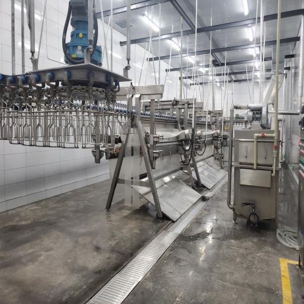 Stainless Steel Slaughter Processing Line 500bph 10000bph Chicken Abattoir