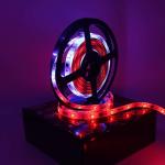 Smd 5050 12v Waterproof Rgb Led Strip Lights Dreamcolor Pixel Ws2811