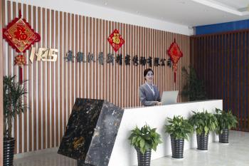 Anhui High Precision Gear Transmission Co., Ltd