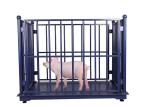 1000kg Digital Cattle Weighing Scales