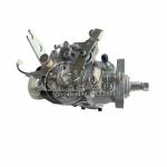 104641-8171 Diesel VE Fuel Injection Pump VE4/11F1125RNP2644 For Zexel