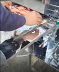 Hot Sale Prawn Cutting Machine Prawn EBI Cutter Prawn Belly Cutter