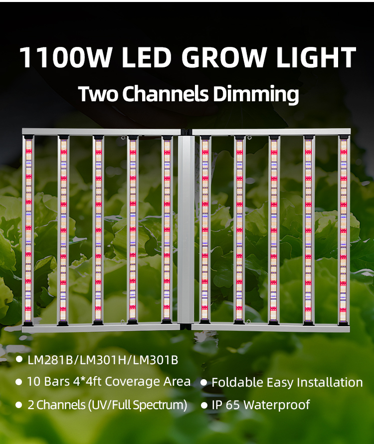 Wholesale Samsung Lm301H EVO Lm281B 10 Bar 4*4 4*6ft Full Spectrum LED Plant Grow Light 1000W with UV IR