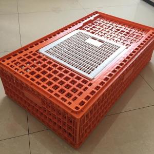 China Raw PP Plastic Chicken Transport Box 7500g 4500g Livestock Equipment Accessories factory