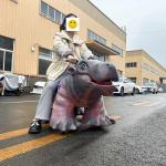 Animatronic Electric Dinosaur Ride on Scooter for Shopping Mall