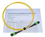 MPO / APC Fiber Optic Trunk Cable 24 Core 48 Core Sm Ofnp