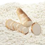 High Absorptivity Cassava Cat Litter Fast Clumping Tofu Litter