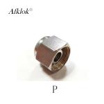 3000PSI Forged Female Stainless Steel Pipe Joint 6mm OD Connector