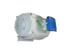 5KW 220V Permanent Magnet Alternator / 3 Phase Synchronous Generator