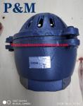 cast iron GG20 3INCH foot valve
