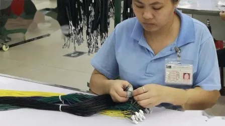 Customized Tooling Can Bus Wire Harness for Eyewatch with 5m Length Over 10