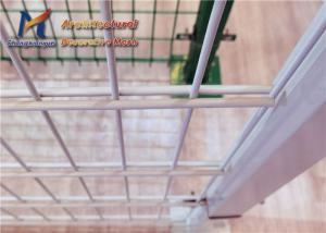 China White Metal Wire Mesh Fence 100mm 50mm 868 Twin Wire Mesh Fencing factory