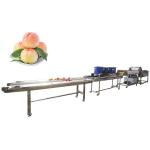 Hot selling Industrial Vegetable Washing Machine With Factory Price by Huafood