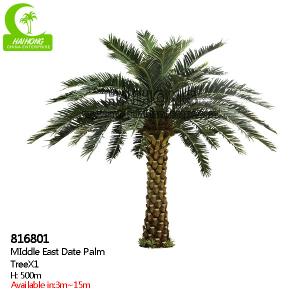 China Supplier Height 500cm Artificial Date Palm Tree High Quality Outdoor Tropical Tree factory