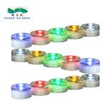 Outdoor Decorative Solar Lights Garden Ground Pathway Lawn Light