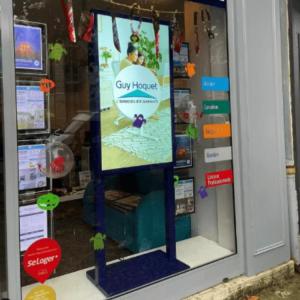 China 49 Inch Double Sided LCD Screen Window Displays Advertising Dual Sided Monitor factory
