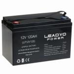 Factory Direct Supply 12V RV Camper Lifepo4 Batteries 12.8 100Ah With Group 31