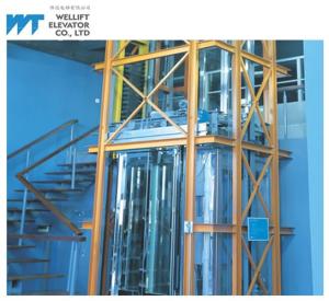 China Machine Roomless Luxury Passenger Elevator For Special Appearance Buildings factory