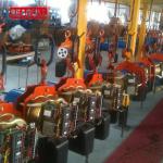 Dual Speed Electric Chain Hoist Red Color Three Phase Max Capacity 5000kg