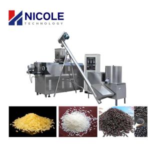 China Nutritional 500-600kg Per Hour Artificial Rice Extruder Machine For Frk Plant factory