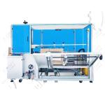 Sweet And Sour Pork Ribs Bag Production Line Prepared Dish Equipment