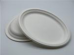 10/12 inch Biodegradable Sugarcane Bagasse Plates
