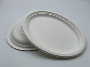 China 10/12 inch Biodegradable Sugarcane Bagasse Plates factory